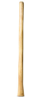 Medium Size Natural Finish Didgeridoo (TW1594)